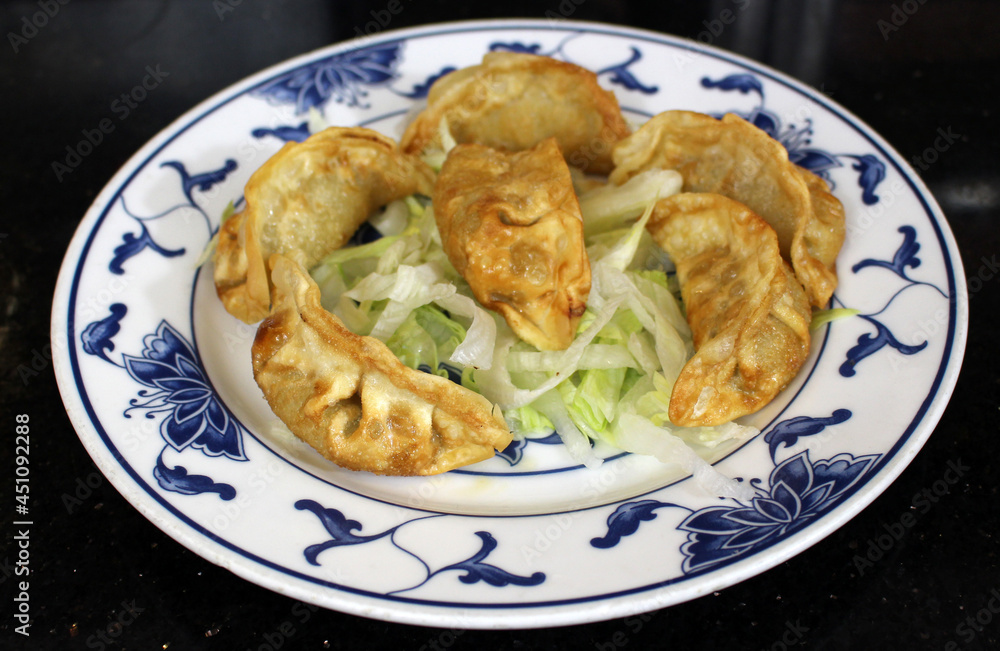 Chinese Pork Deep Fried Dumplings Chinese Pork Deep Fried Dumplings