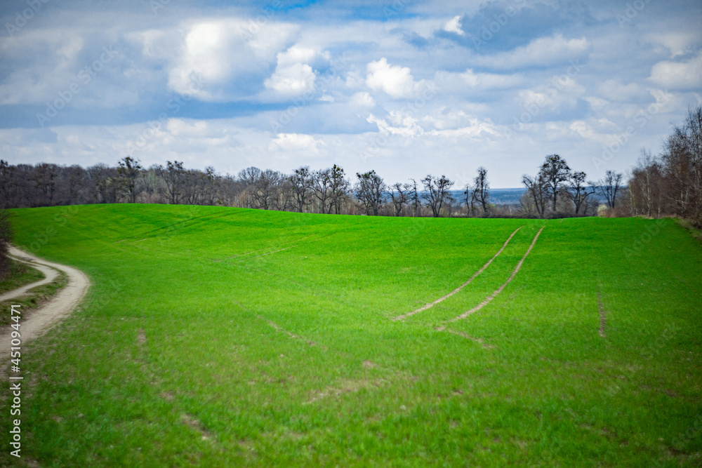 an artful view of a green meadow with a blue sky with white clouds
an artful view of a green meadow with a blue sky with white clouds