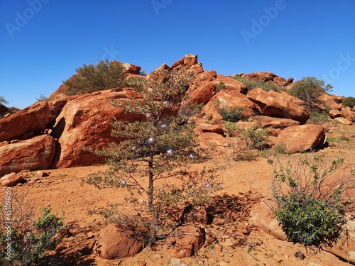 An outback Christmas at Peace Gorge