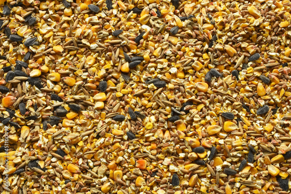 An abstract image of mixed bird seed used to feed wild birds. An abstract image of mixed bird seed used to feed wild birds.