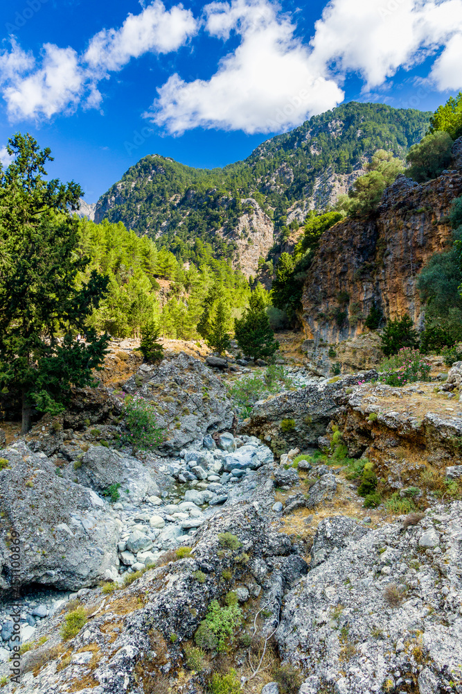 Beautiful pine trees and towering cliffs in a huge natural canyon (Samaria Gorge, Crete, Greece)