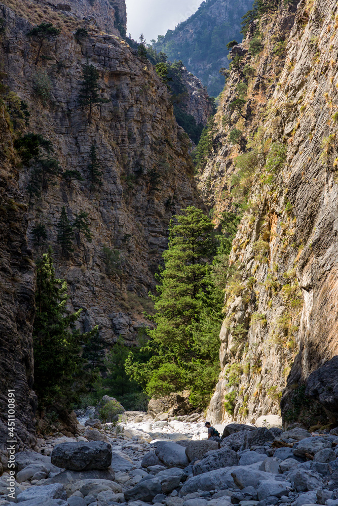 Beautiful mountain scenery of a gorge surrounded by tall cliffs and pine trees (Samaria Gorge, Crete, Greece)
