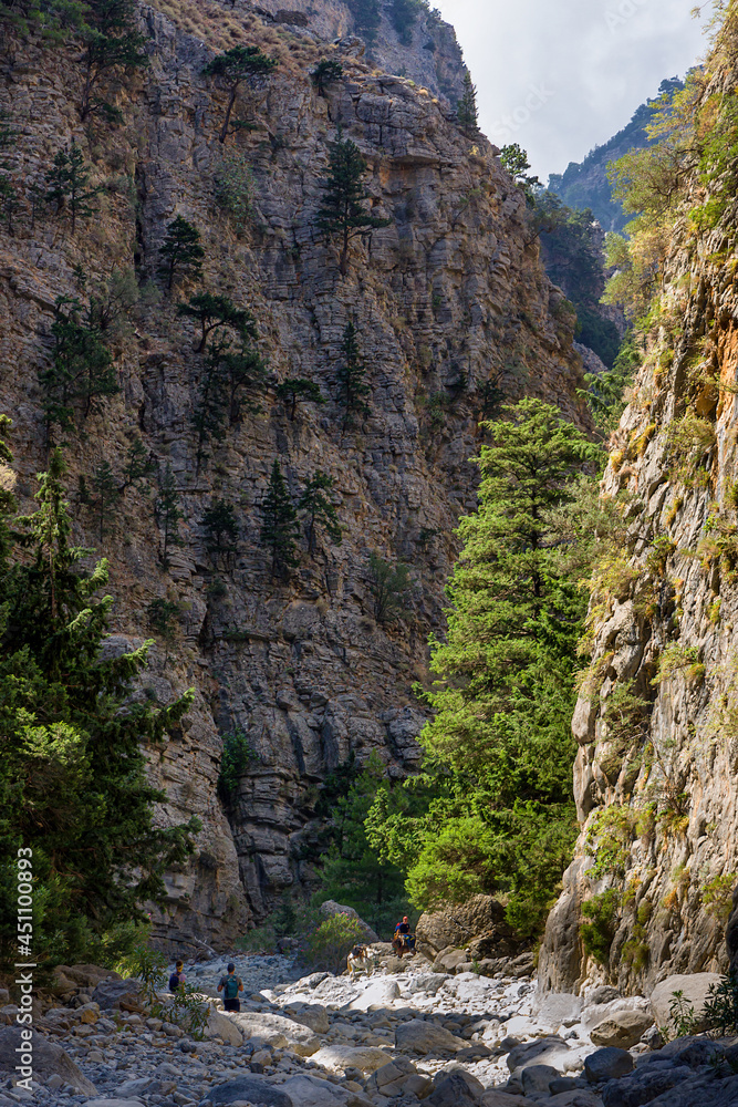 Hikers in a huge natural gorge with towering cliffs and pine trees ...