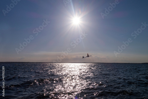 sun in blue sky on a sunset sunrise day on a open ocean view with flying geese © Mirror-images