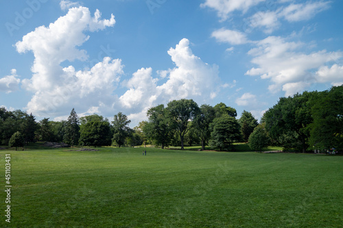Green grass lawn and trees park day sky with white clouds and blue light