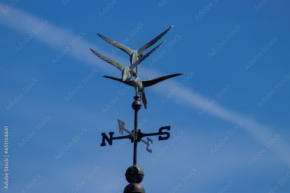 Metal directional weather vane at sunrise Metal directional weather vane at sunrise