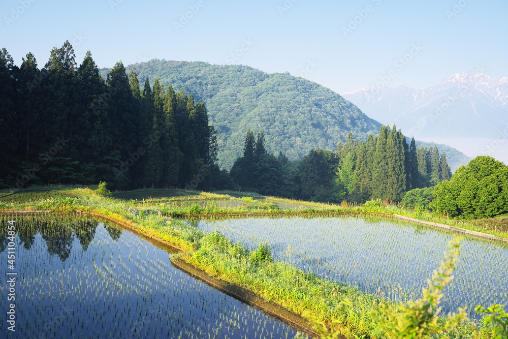 Fototapeta premium 静かな美しい早朝の日本の風景