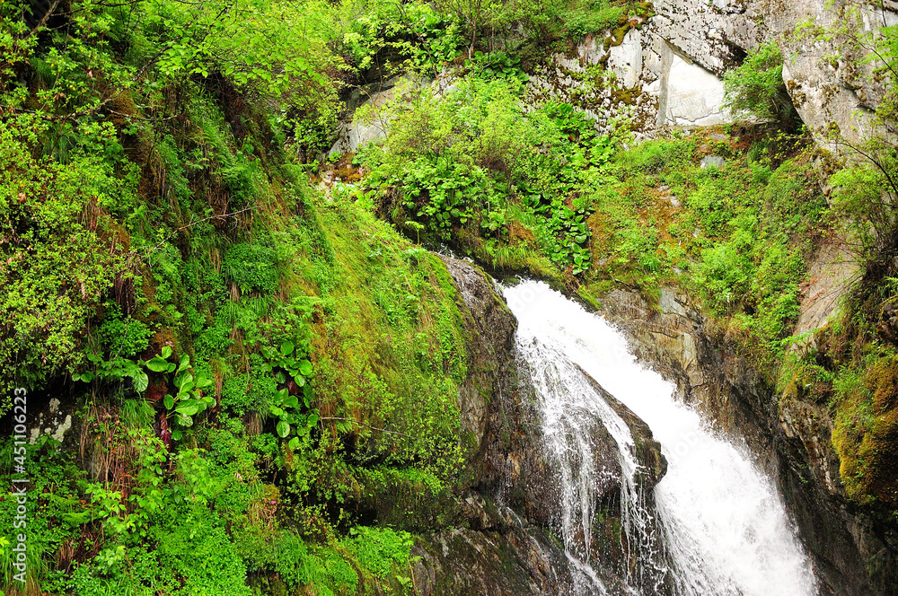 The stormy stream of the waterfall flows from a sheer cliff surrounded by stone boulders overgrown with bushes.