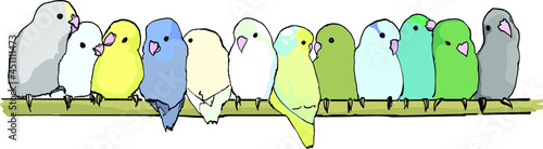 Colorful parrot forpus parrotlet birds sit on branch. Vector illustration