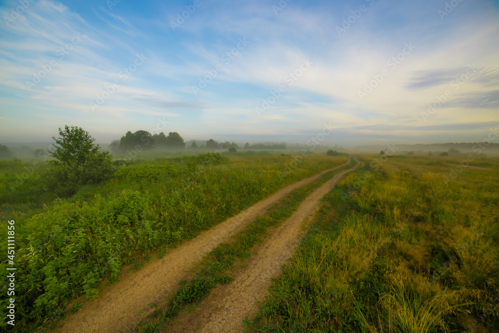 a dirt road runs through a picturesque field on a warm, clear summer morning
