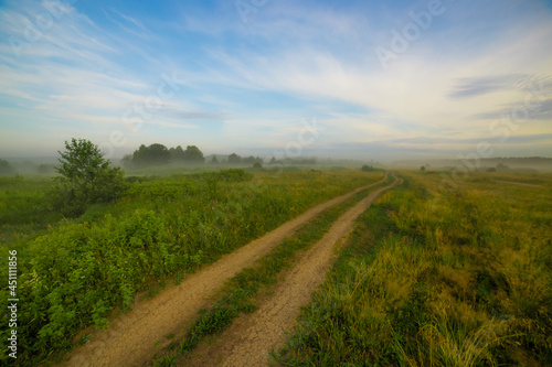 a dirt road runs through a picturesque field on a warm  clear summer morning