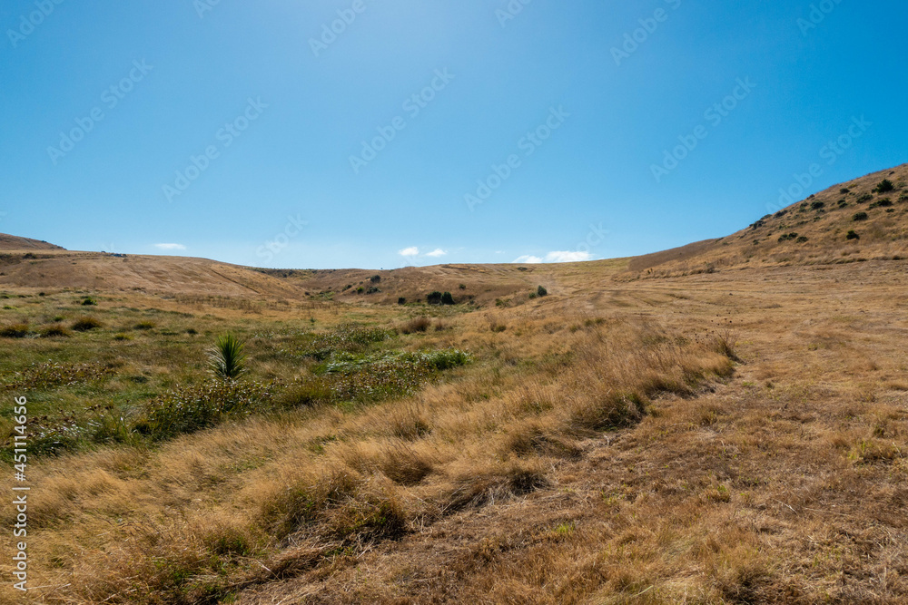 ニュージーランドのウェリントンの観光名所を旅行している風景 Scenes from a trip to Wellington, New Zealand. ニュージーランドのウェリントンの観光名所を旅行している風景 Scenes from a trip to Wellington, New Zealand.