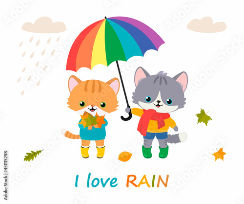 Fototapeta Naklejka Na Ścianę i Meble -  Cute cats with umbrella. Cartoon flat style. Vector illustration