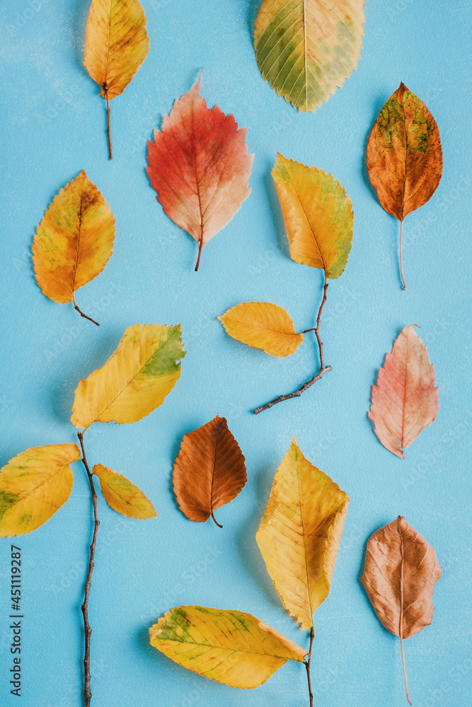 Colorful autumn leaves on bright blue background. Fall composition, pattern. Top view, flat lay, vertical Colorful autumn leaves on bright blue background. Fall composition, pattern. Top view, flat lay, vertical