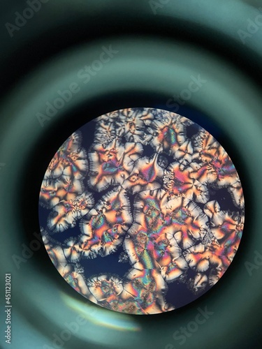 ascorbic acid crystals under microscope