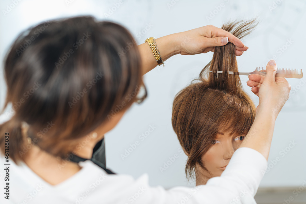 Hairstyling Starting Course Using Mannequin Doll Hairstyling Starting Course Using Mannequin Doll