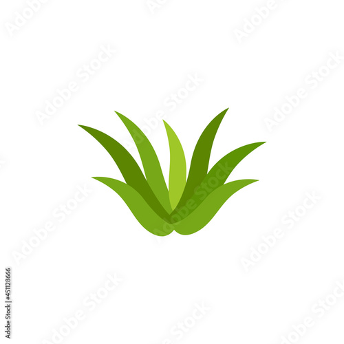 Aloe vera icon design illustration template