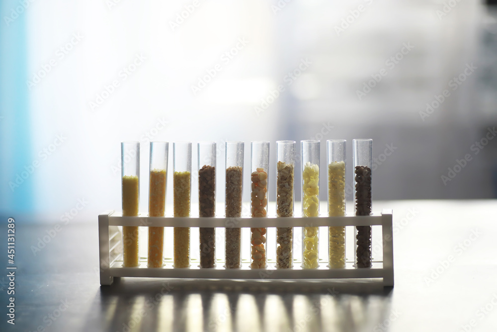 Research Analyzing Agricultural Grains And seeds In The Laboratory. Test tubes with seeds of selection plants. Research Analyzing Agricultural Grains And seeds In The Laboratory. Test tubes with seeds of selection plants.