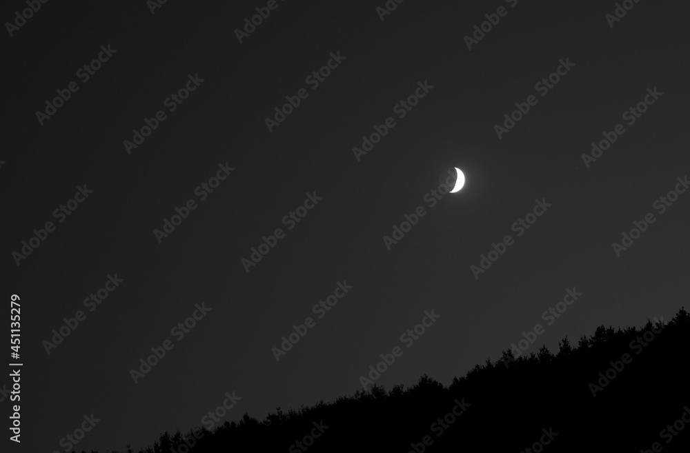 moon in the sky on a background of trees moon in the sky on a background of trees