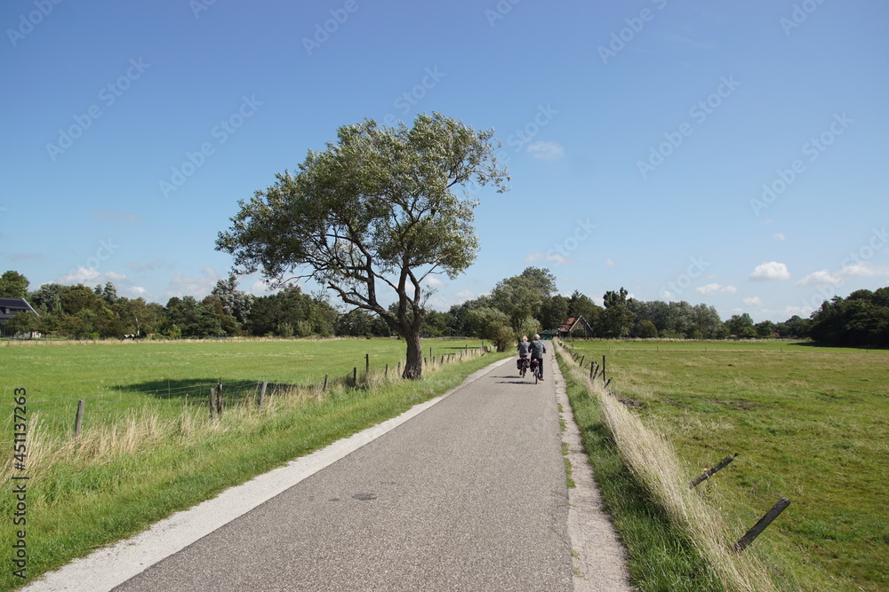 Pasture landscape. Small road with trees, meadows and cyclists. Near the Dutch village of Bergen. Summer, August, Netherlands                              