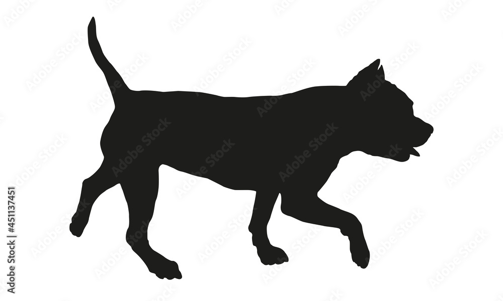 Walking american bully puppy. Black dog silhouette. Pet animals. Isolated on a white background.