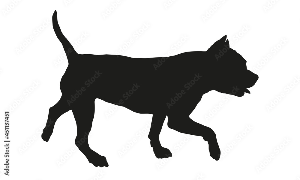 Walking american bully puppy. Black dog silhouette. Pet animals. Isolated on a white background. Walking american bully puppy. Black dog silhouette. Pet animals. Isolated on a white background.