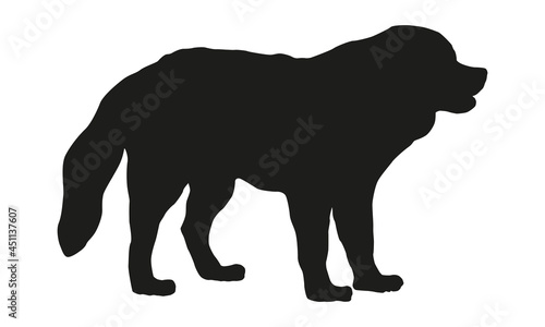 Canvas Print Black dog silhouette