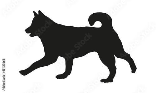 Black dog silhouette. Running siberian husky. Pet animals. Isolated on a white background.