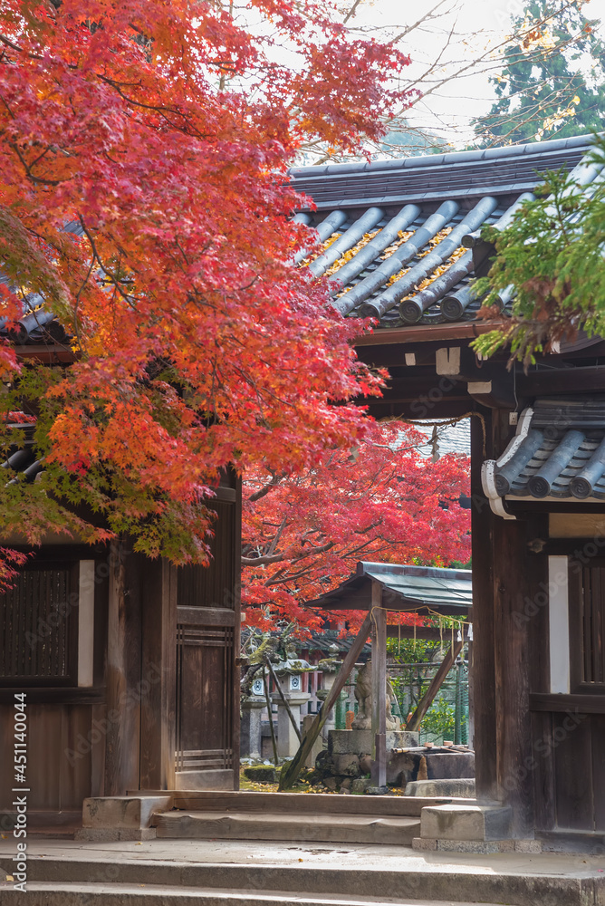 Historical building in Nara, Japan in autumn season