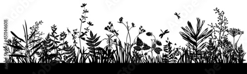 Background with black silhouettes of meadow wild herbs and flowers. Wildflowers. Wild grass. Set of silhouettes of botanical elements.