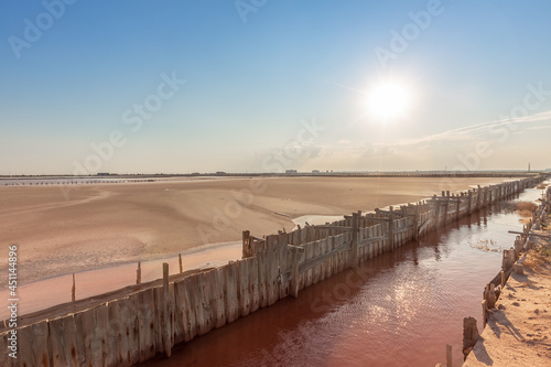 Salty pink lake Sasyk Sivash Crimea photo