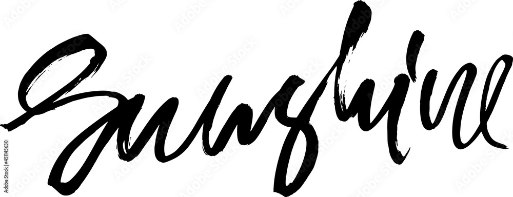 Fototapeta premium Sunshine. Modern dry brush lettering. Vector illustration.