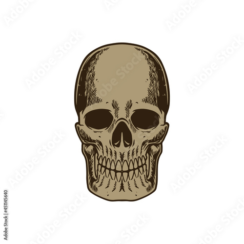 Hand drawn sketch of human skull vintage engraved style isolated on white background. Vector illustration for posters, decoration and print. Detailed old retro woodcut style drawing