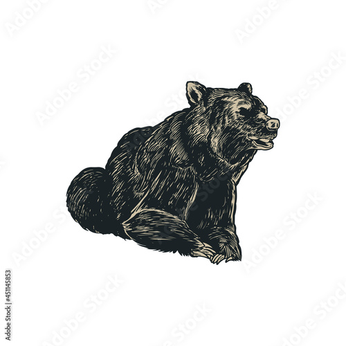 Grizzly Bear hand drawn eng...