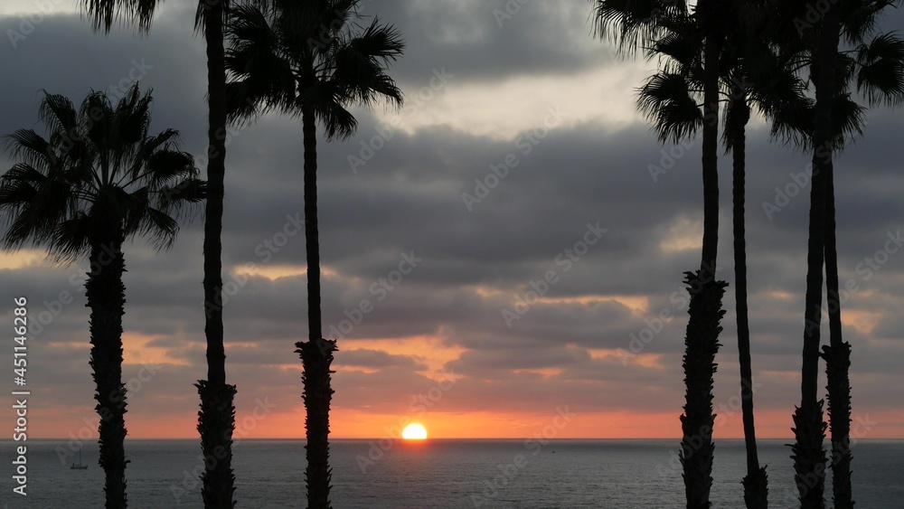 Palms silhouette on twilight sky, California USA, Oceanside. Dusk gloaming nightfall atmosphere. Tropical pacific ocean beach, sunset afterglow aesthetic. Dark black palm tree, Los Angeles vibes.