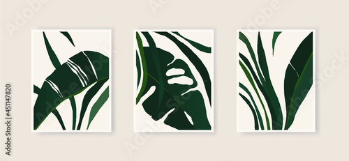 Set of minimalist abstract plant illustrations. Modern style wall decor. Collection of contemporary artistic posters.