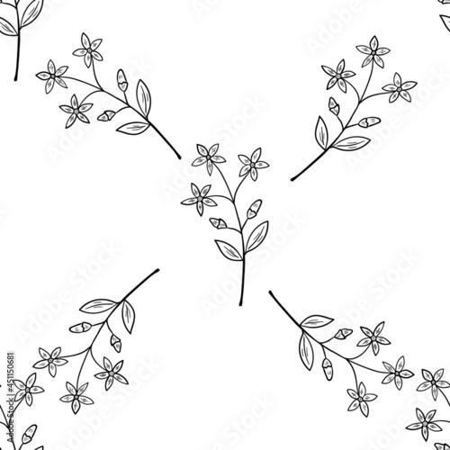 Wallpaper Mural centaury, seamless b-w dd ww herb isol Torontodigital.ca