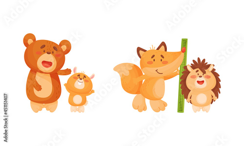 Adorable animals measuring height set. Cute bear, fox, hedgehog animals comparing height cartoon vector illustration