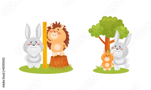 Adorable animals measuring height set. Cute fox, rabbit, hedgehog, hamster animals comparing height cartoon vector illustration