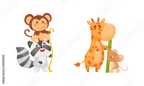 Adorable animals measuring height set. Cute monkey, raccoon, giraffe, mouseanimals comparing height cartoon vector illustration