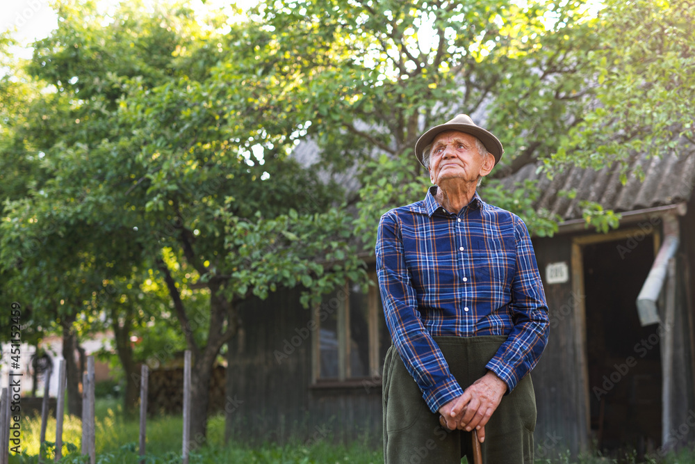 Portrait of elderly man standing outdoors in garden, looking up.