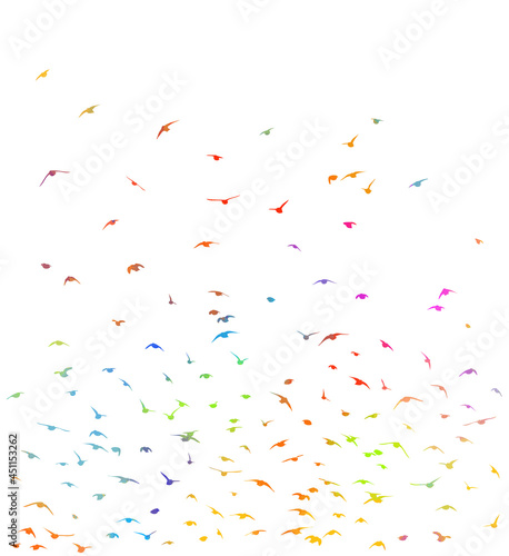 A flock of colorful birds. Vector illustration