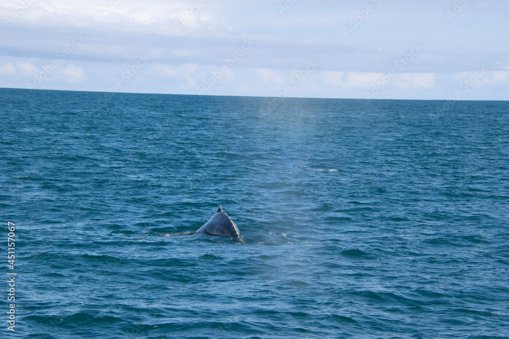 Fototapeta premium boat in the sea