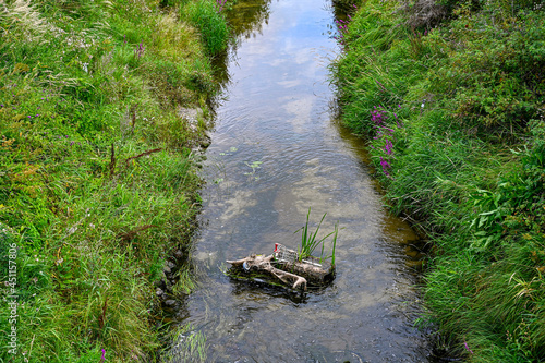 shopping cart and a bicycle in water photo