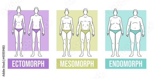 Body types flat vector illustration and endomorph photo