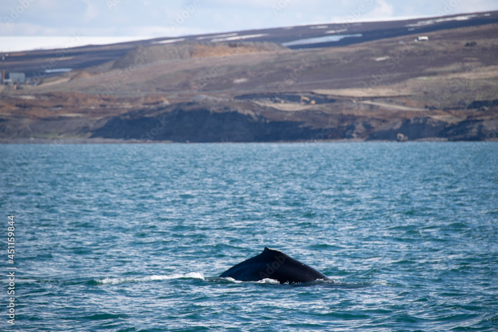 Fototapeta premium sea and mountains