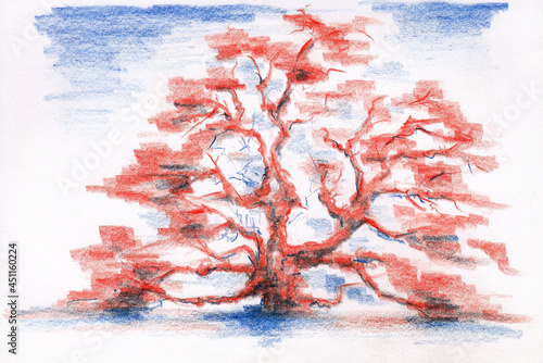 Fotografie Stylized oak tree in red and blue colors