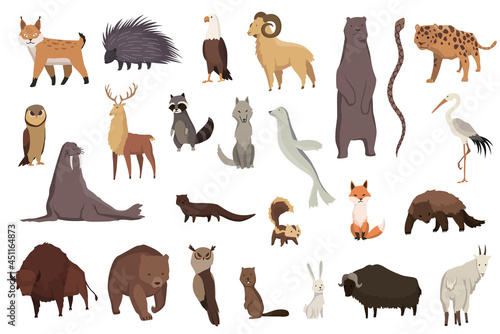 Animals of north america. Nature fauna collection. Geographical local fauna. Mammals living on continent. Vector illustration in kids style