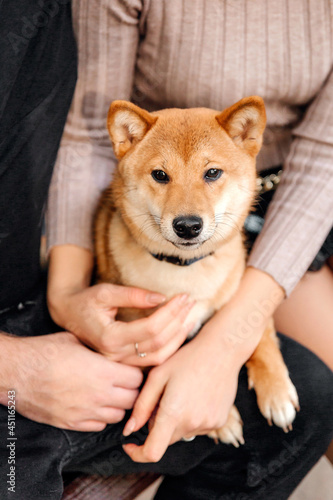 Dog with owner. Shiba inu dog outdoor. Autumn collections.