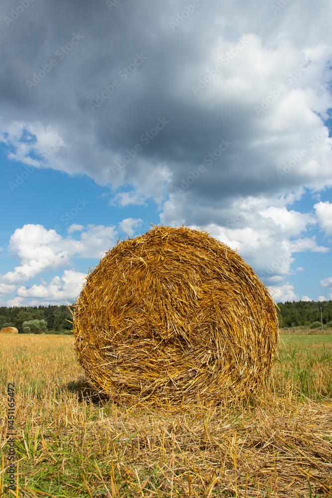 Hay bales in a farm field after harvest. Hay bales in a farm field after harvest.